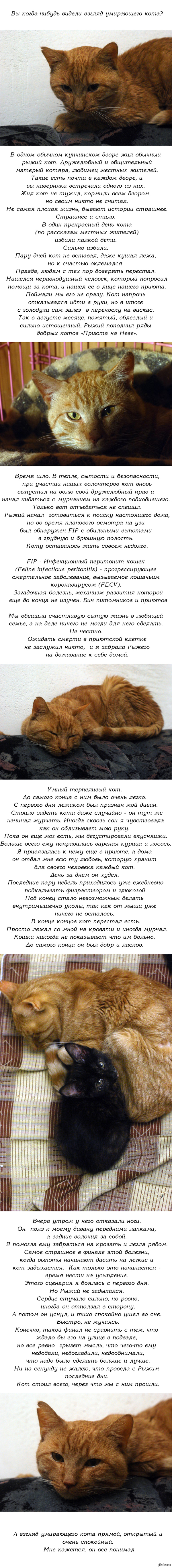 Как зайти в кракен