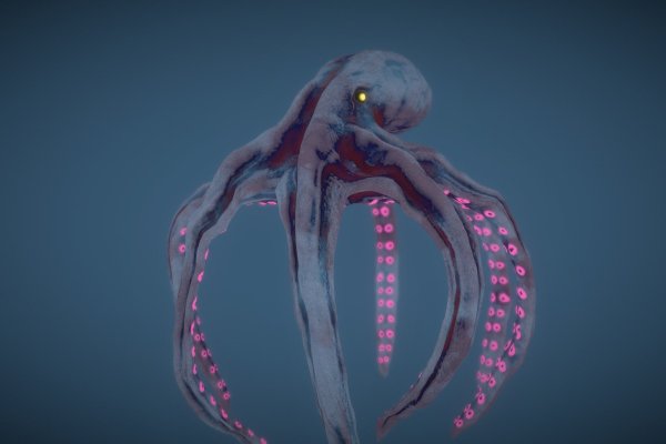 Kraken 20at