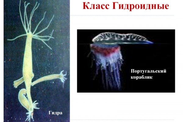Kraken зеркало стор