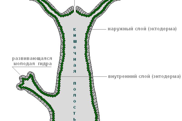 Кракен зеркало прокатис