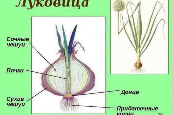 Kraken дарк магазин