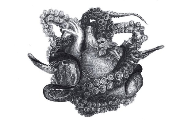 Kraken 2krn cc