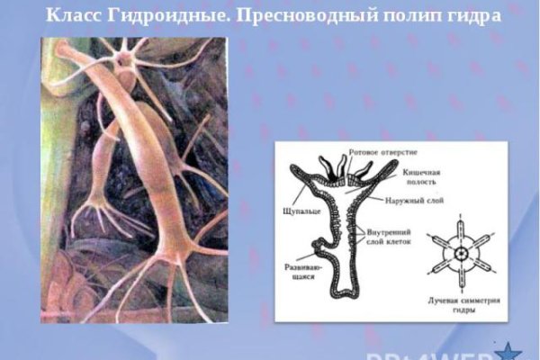 Кракен магазин зеркало
