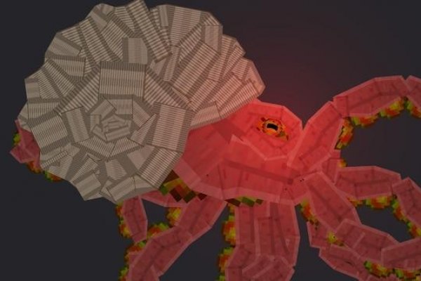 2kr pro kraken